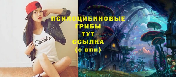 сатива Верхний Тагил